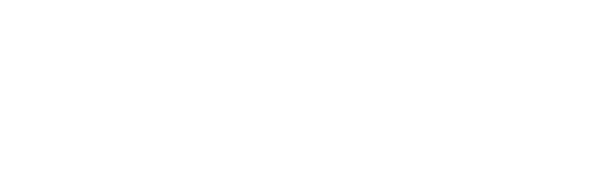 logo flama horizontal white